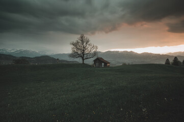 Frühling im Allgäu