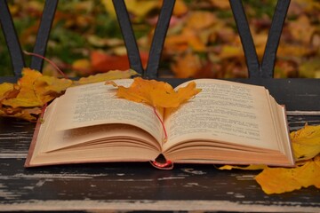 Rest in the autumn park. Autumn mood.