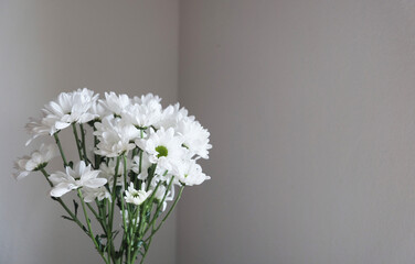 bouquet of white flowers
