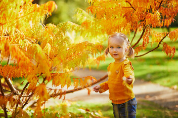 Adorable toddler girl playing with yellow leaves in autumn park