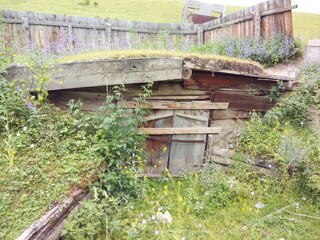 Old Altai dugout