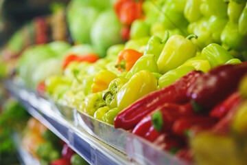 Cucumbers, tomatoes, oranges, cabbage and red bell peppers on the counter.