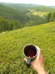Wild strawberry in the cup and mountain background
