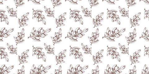Vector Seamless Outline Drawing Pattern, Argan, Black and White Background, Cosmetic.