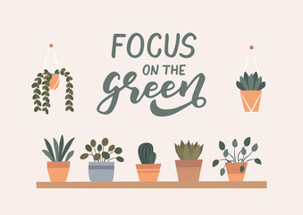 House plants flat illustration. Focus on the green hand lettering.  Set of house plants. Vector illustration