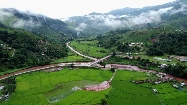 A view of the rice fields in the morning And a small village