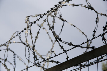 Barbed wire on the fence.