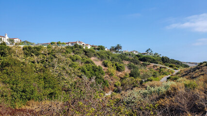 Fototapeta na wymiar Homes On The Hillside By Newport Beach
