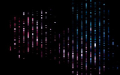 Dark Blue, Red vector pattern with narrow lines.