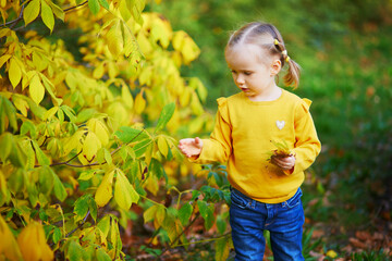 Adorable toddler girl playing with yellow leaves in autumn park