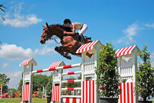 Junge Frau auf Ihrem Pferd und &uuml;berwindet eine H&uuml;rde, Isernhagen, Niedersachsen