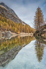 Fototapeta na wymiar The wonderful lake of witches in autumn season, Alpe Devero Natural Park, Italy