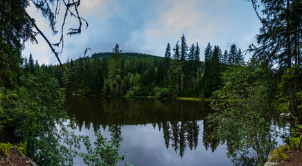 mountain lake with reflection from the pinetrees and forest panorama