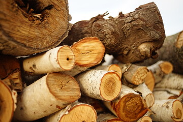 Fresh stack of wood logs for the winter