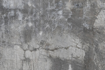 Beautiful pattern image of empty flat and matt or grain textured on the colorless polished cement wall background.