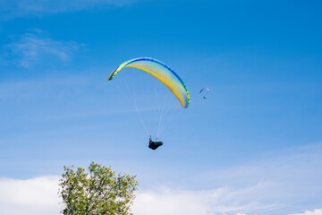 Colourful paraglider flying near a tree on a blue sky background. Extreme sport, hobby