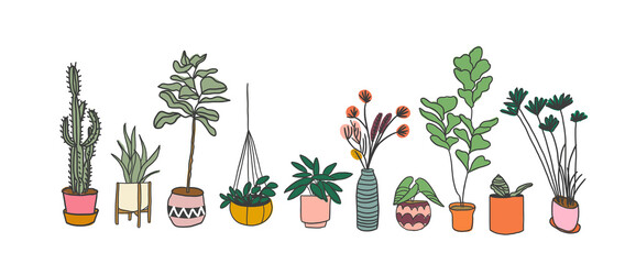 potted plants collection. succulents and house plants. hand drawn vector art. Set of house indoor plant vector cartoon doodle