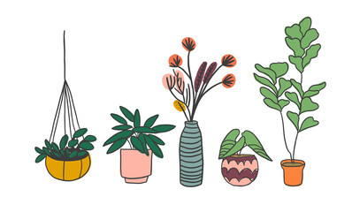 potted plants collection. succulents and house plants. hand drawn vector art. Set of house indoor plant vector cartoon doodle