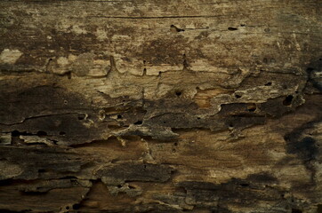 backgrounds and textures concept - wooden pattern texture or background