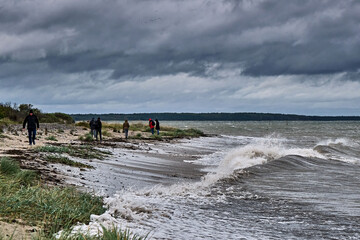 Touristen suchen Bernstein bei Herbstwetter am Steinstrand von Dranske auf der Insel Rügen.