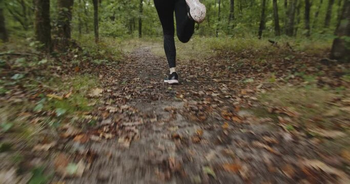 Feet Of A Female Runner Running On The Trail At The Forest During Autumn In October - slow motion