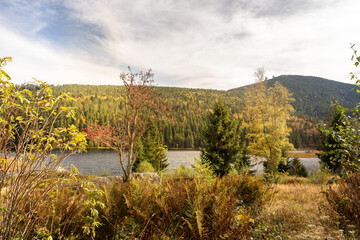 Obraz premium Kleiner Arbersee | Bayerischer Wald | Urlaub | Tourismus