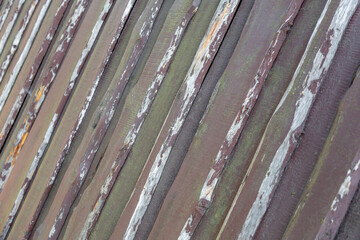 Textured surface of natural wood decorative materials