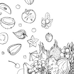 Flying exotic fruits on a white background. A sketch of food. Coconut, Physalis, mangosteen, pineapple, banana, jackfruit