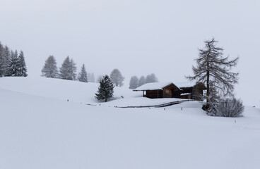 Snow Scene 1