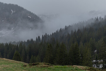 Nebel und Regen am Riedberger Horn