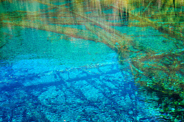 Obraz premium Colorful Lake, Jiuzhaigou National Park, Sichuan Province, China, Unesco World Heritage Site