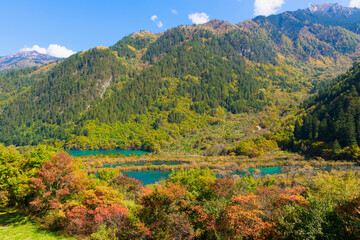 Sparkling lake, Jiuzhaigou National Park, Sichuan Province, China, Unesco World Heritage Site