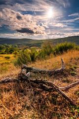 Fototapeta na wymiar Nice landscape in Castilla (Spain) by the summer
