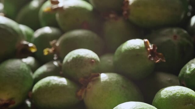 Ripe feijoa fruits on a tray