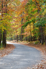 Fototapeta na wymiar A country lane in Maryland on an Autumn day