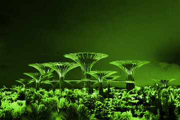 High iron purple trees at night in Singapore