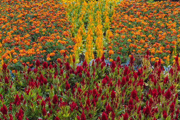 Santa Barbara Garden, Braga, Minho, Portugal