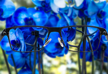 Focused image of bouquet of beautiful blue orchids.  Better vision concept. Glasses for nearsighted.