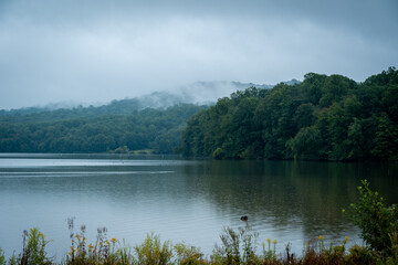 Early Morning Mist over Lake