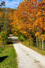 Naklejka premium Colorful Lane