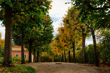Fototapeta na wymiar Rococo chateau with a distinguished facade, Amazing castle garden, alley of trees in the castle Dobris in autumn, Central Bohemia, Czech Republic