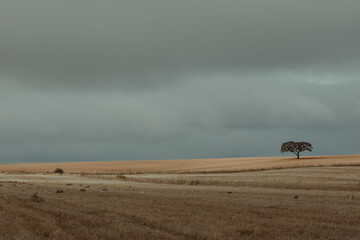 Alentejo autumn Landscape