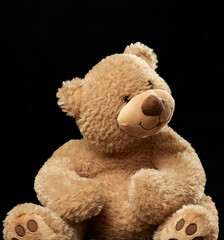 cute brown teddy bear on a black background