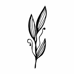 twig single vector illustration .contour handmade image