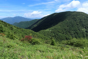空と緑に染まった山々