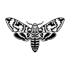 Retro black tattoo moth. Vintage art isolated element on white background. Flat vector illustration. Tattoo studio and design elements concept