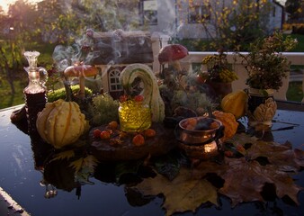 halloween concept mystery composition in the garden