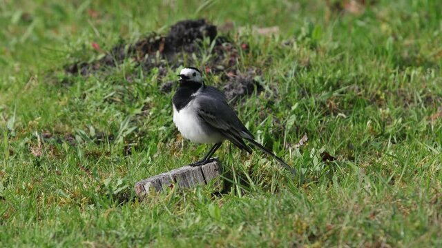 เลือกดูภาพถ่ายสต็อก เวกเตอร์ และวิดีโอ1,029