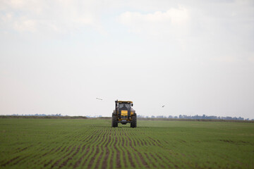 Obraz premium Fertilizando el sembrado con nitrógeno fosforo y potasio 