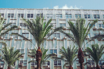 Haifa